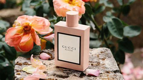 gucci bloom fragrance direct|gucci bloom longevity.